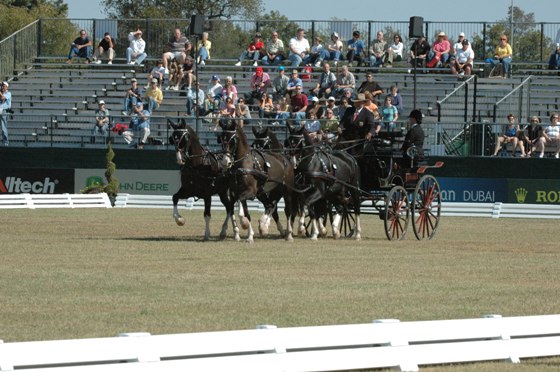 Premier Dressage Arenas